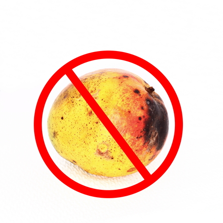 mango fruit with disease in white background