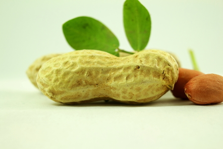 peanuts whole and peeled with leaves closeup