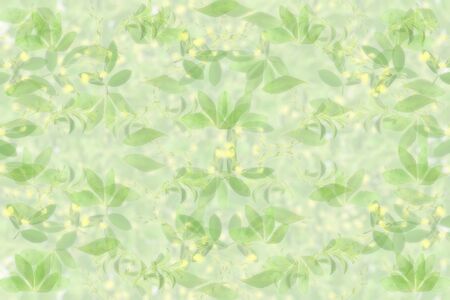 plant Texture green background