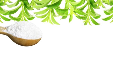 fresh green Stevia rebaudiana and extract powder in wooden spoon with text copy space on white...
