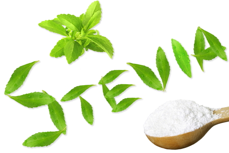 fresh green Stevia rebaudiana and extract powder in wooden spoon with leaves text and text copy space on white backgroundの写真素材