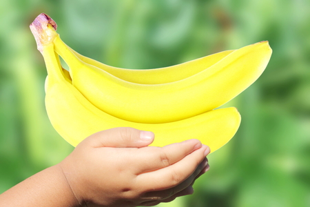 banana fruit in handの写真素材