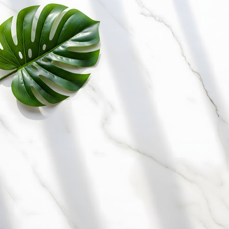 Tropical leaf on white marble background. Flat lay, top view, copy spaceの素材