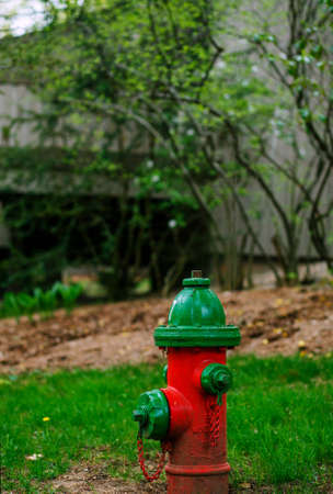 A red fire hydrant with green cover in a city setting.の写真素材