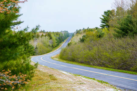 Forest roadの写真素材