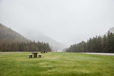 Resting place near the forest and the roadの写真素材