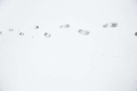 Fresh footprints in snowの写真素材