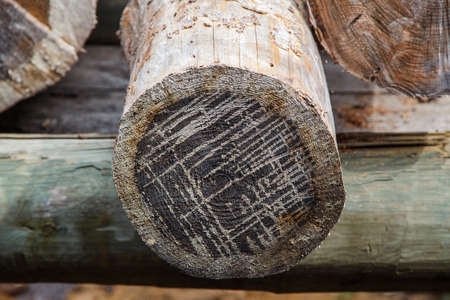 Stack of firewood for the winterの写真素材