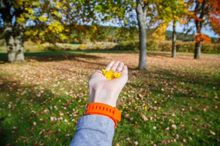 Yellow flowers on the hand