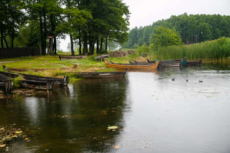 Old wooden boats on the shore of the lake  near reedの写真素材