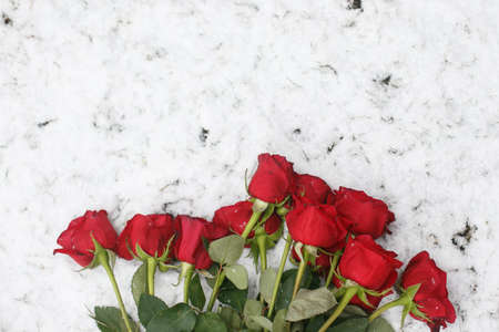 Bouquet of red roses in the snowの写真素材