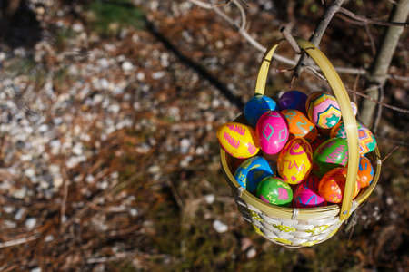 Little basket with easter eggs hang on the branch of treeの写真素材
