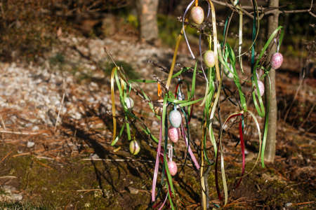 Easter eggs with ribbons hang on the branch of treeの写真素材