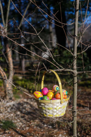 Easter eggs in the basket hang on the branch of tree