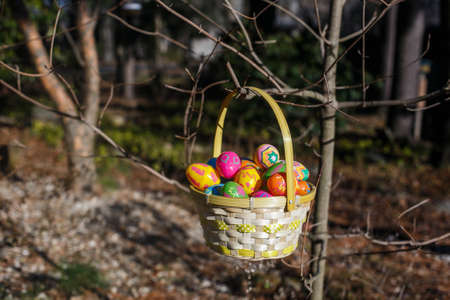 Easter basket with eggs hang on the branchの写真素材