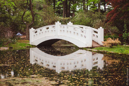 White ridge over the river in the garden
