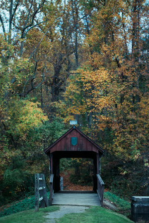 Wooden bridge in the park in autumn. Wooden bridge in the forest.