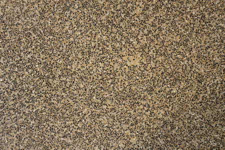 the ground is mix with little pebble seems to be a rare texture