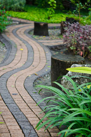 Path through the secret gardenの写真素材
