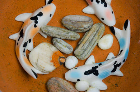 Stone Carp fish in the well decorated pool の写真素材