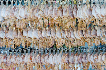 A pattern of dry squids on sale, in the market of Thailandの写真素材
