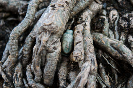 A Buddhaの写真素材