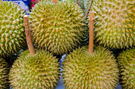 Durian (tropical fruit) on sales in the market of Thailandの写真素材