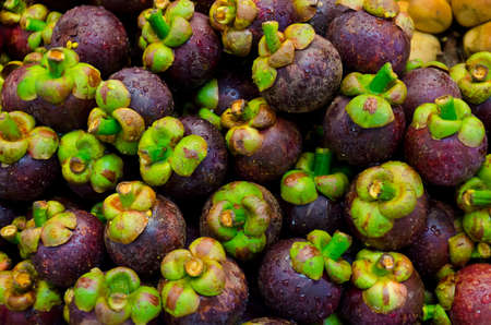 Mangosteen (tropical fruit) on sales in the market of Thailandの写真素材