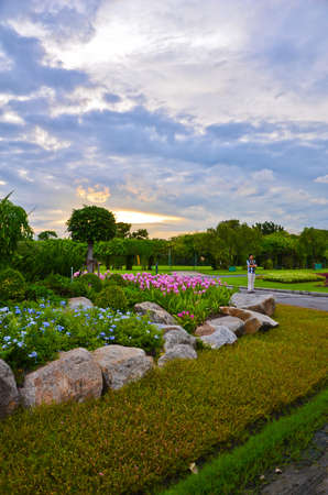 Dreamy park in Thailand, with beautiful flowers and sunsetの写真素材