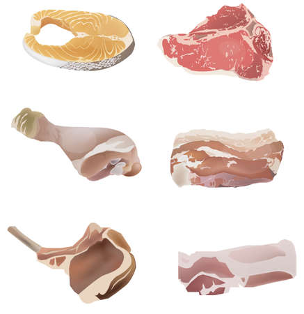Set of raw meats collectionのイラスト素材