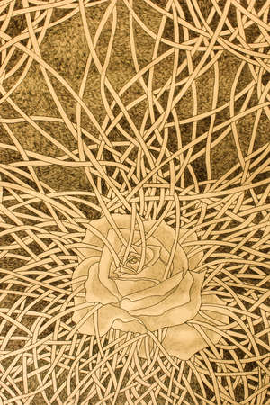 Old Rose bondage drawingの写真素材