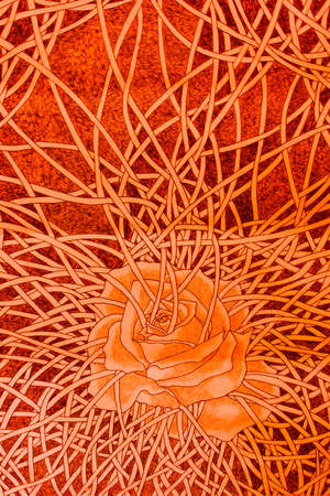 Crimson rose bondage drawing の写真素材