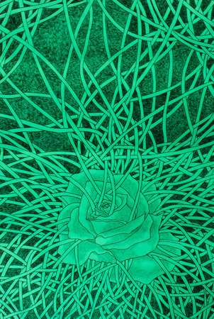 Greeny wild rose bondageの写真素材