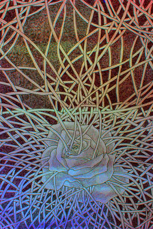 Glowing rose bondage drawing conceptの写真素材