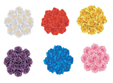 6 color rose bouquet collection, create by vectorのイラスト素材