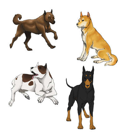 Sets of illustration dog, in four various speciesの写真素材