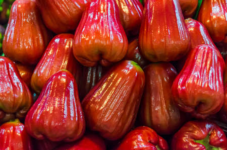 Pile of Roseapple on sales in Thailand open market  Rose apple is a tropical fruit with sweet juicy flavor の写真素材