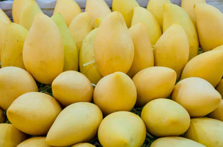 Pile of fresh Barracuda mango on sales in Thailand open market  Barracuda mango is a tropical fruit...