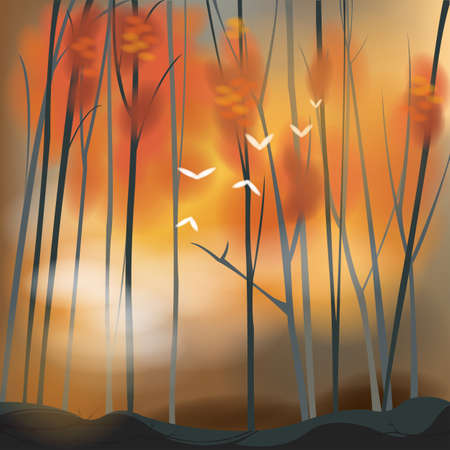 Barren forest background in autumn sunset scene.のイラスト素材