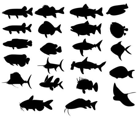 Sets of silhouette Fishes 3 with both freah water and sea, create by vectorのイラスト素材
