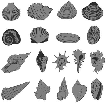 Set of silhouette shell icons, create by vectorのイラスト素材