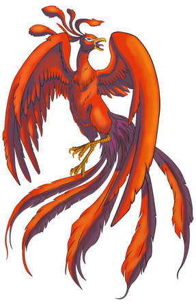 Chinese Phoenix from Chinese legendary monster, create by vectorのイラスト素材