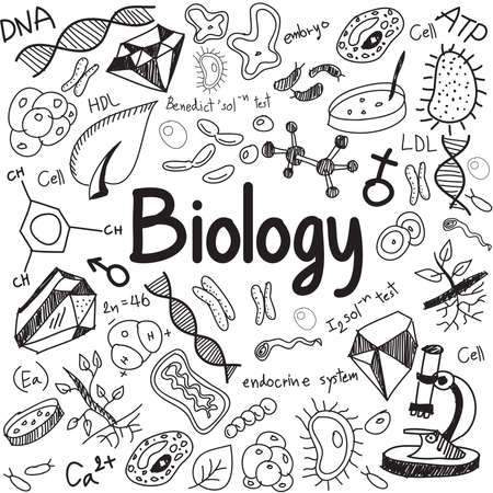 Biology science theory doodle handwriting and tool model icon in white isolated paper background used for school education and document decoration, create by vectorのイラスト素材