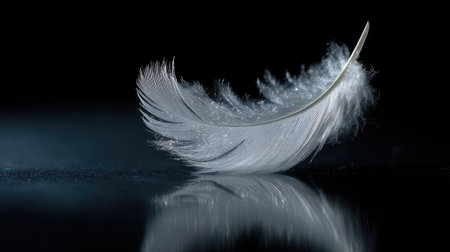 A single, pristine white feather rests on a dark, reflective surface. The image showcases the feather's fine texture and delicate structure. The composition utilizes contrasting light and shadow, emphasizing the feather's form. This versatile image could be used in various commercial and editorial projects.の素材