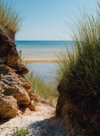 Coastal view through dunesの素材