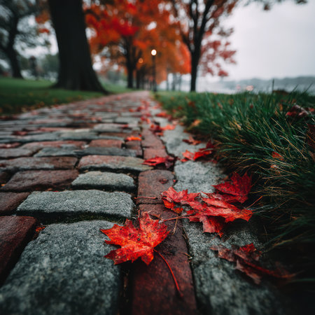 A close-up view reveals a pathway paved with bricks and stones, adorned with vibrant red autumn leaves. The image captures a serene outdoor setting, featuring lush green grass and towering trees in the background. The natural lighting and composition create a visually appealing scene, suitable for various editorial and commercial applications.の素材