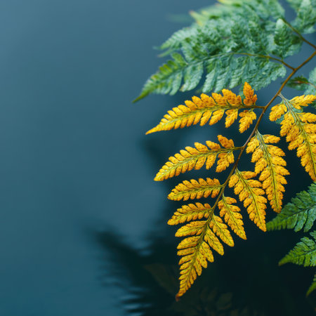 This image showcases vibrant golden and green fern leaves with intricate textures. The leaves are set against a blurred, deep blue background, creating a visually appealing contrast. The composition highlights natural beauty, suitable for various editorial and commercial applications. The lighting suggests a peaceful outdoor environment.の素材
