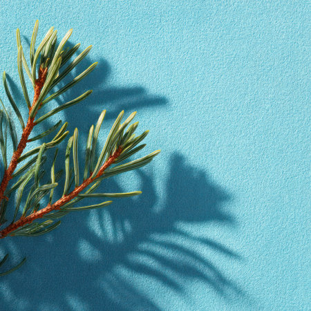 A close-up captures a vibrant pine branch resting on a textured, light blue backdrop. The image features a strong shadow play, enhancing the contrast and dimension. The composition evokes a sense of freshness and simplicity. Suitable for various applications, including print and digital projects needing a nature-themed design.の素材