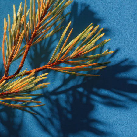A detailed image presents a pine branch with vibrant green and brown needles. It is cast against a vivid blue backdrop, and its shadow is clearly visible. The lighting is strong, and the composition focuses on texture and form. Suitable for various design applications, this image is appropriate for both editorial and commercial purposes.の素材