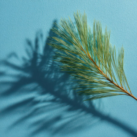 A close-up captures a branch of pine needles casting a distinct shadow on a bright blue backdrop. The image features natural green and blue hues, creating a simple composition. Its style is minimalist with strong light and shadow play, suitable for diverse commercial applications.の素材